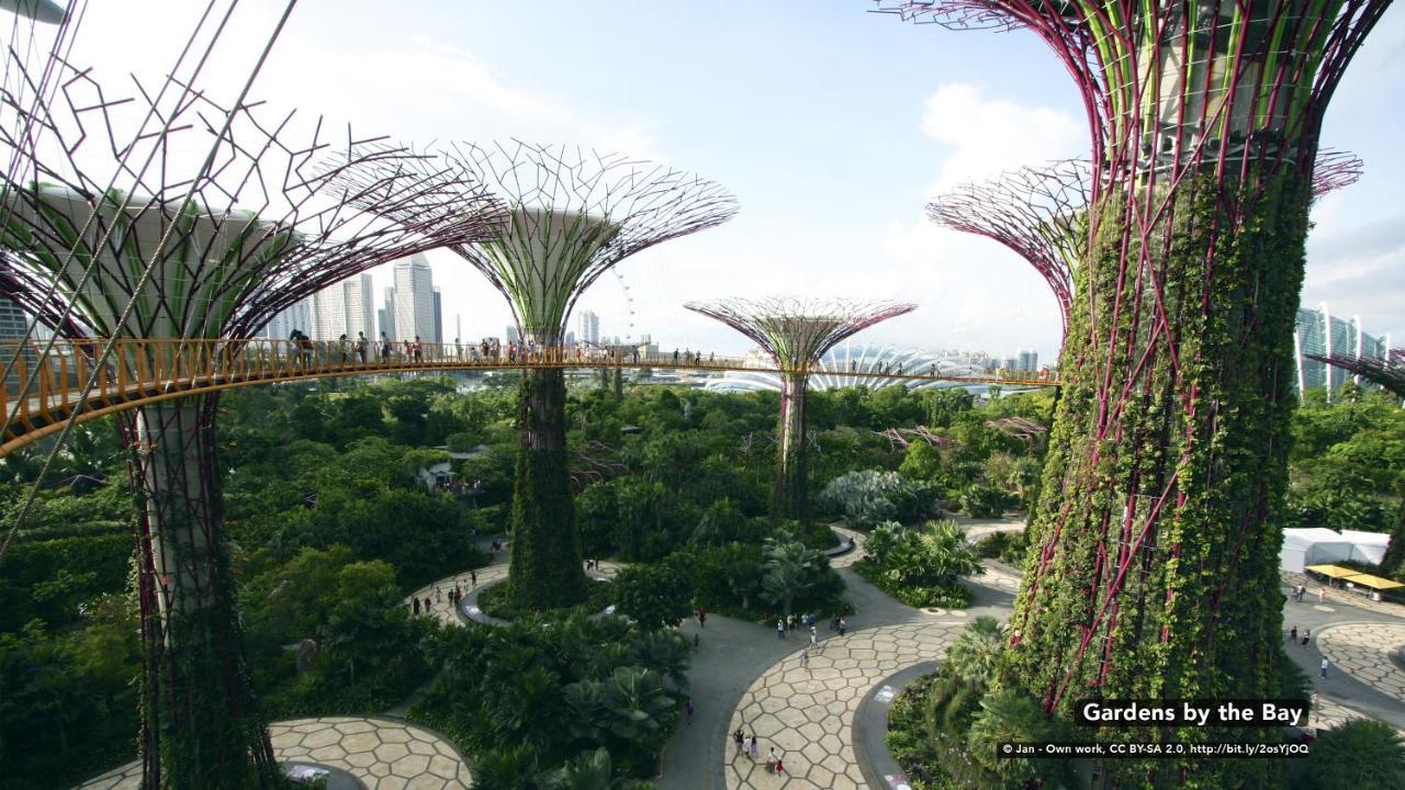 Zen Orchard Hotel Singapore