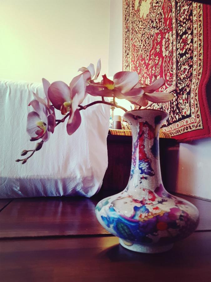 Homestay Oriental Tropics Private Forest View *