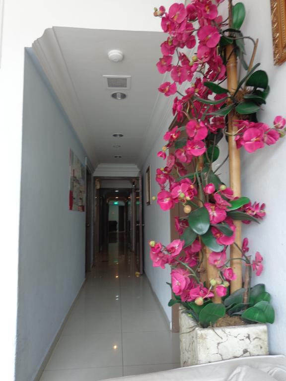 Hotel Zenobia 2*