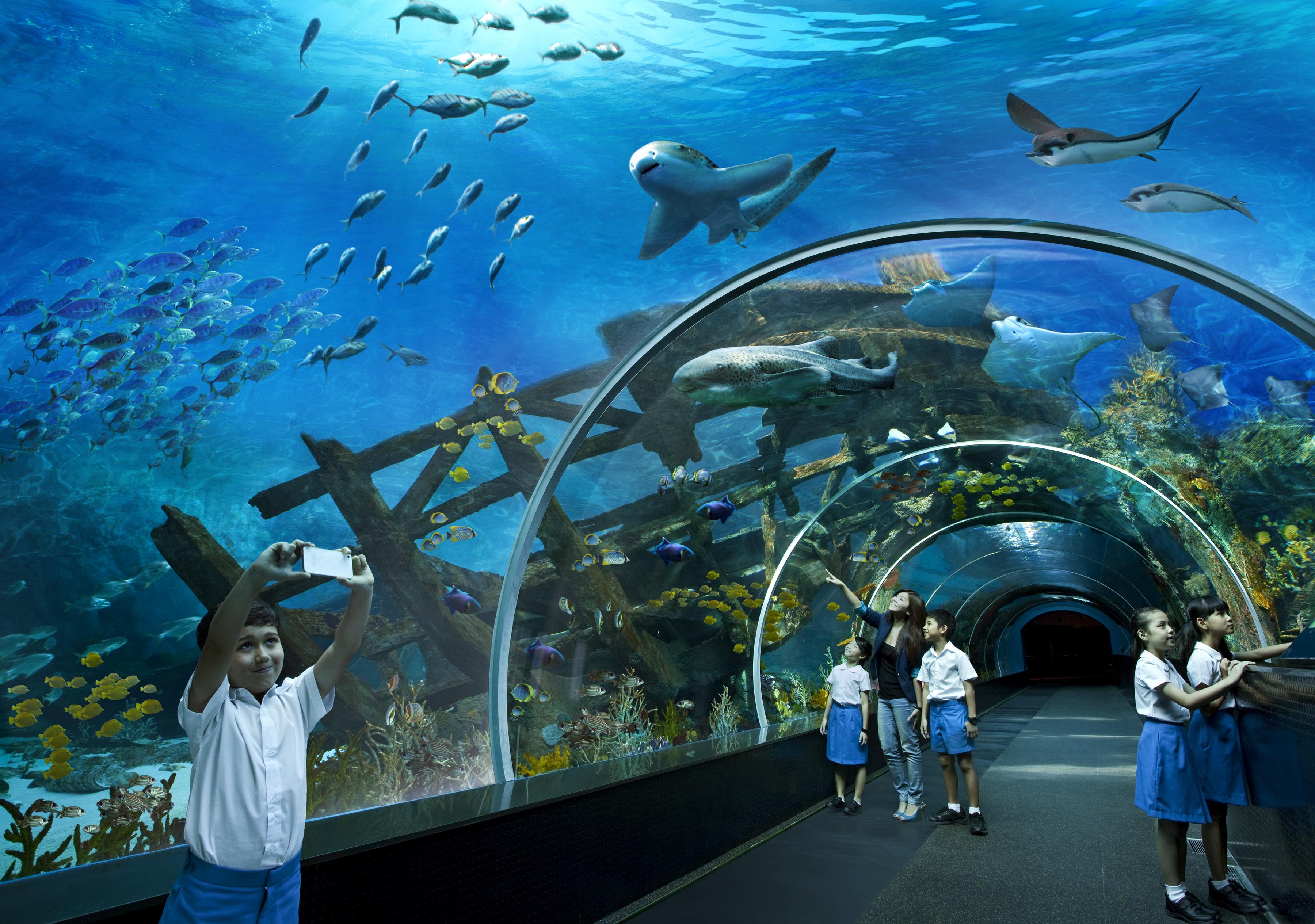 World Sentosa - Crockfords Tower 5* Singapore