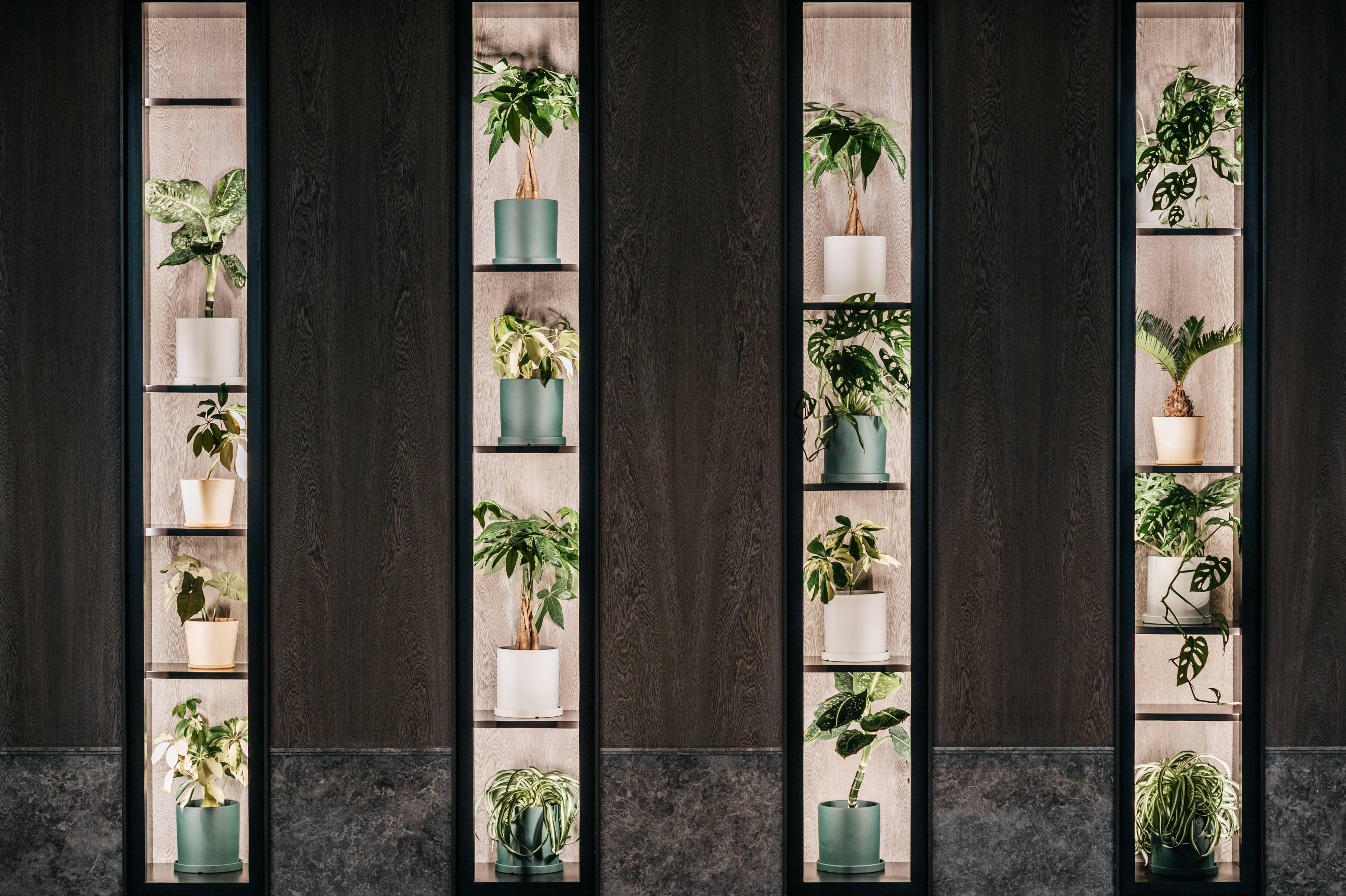 Hotel Dao By Dorsett Amtd