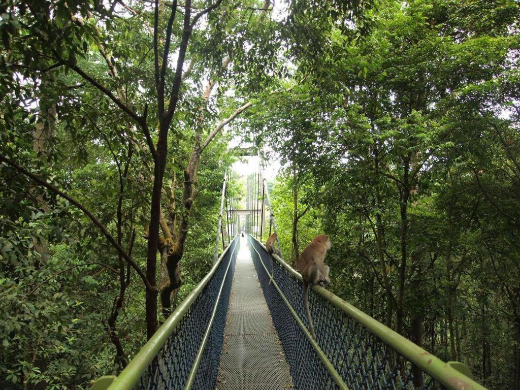 G4 Station Backpackers