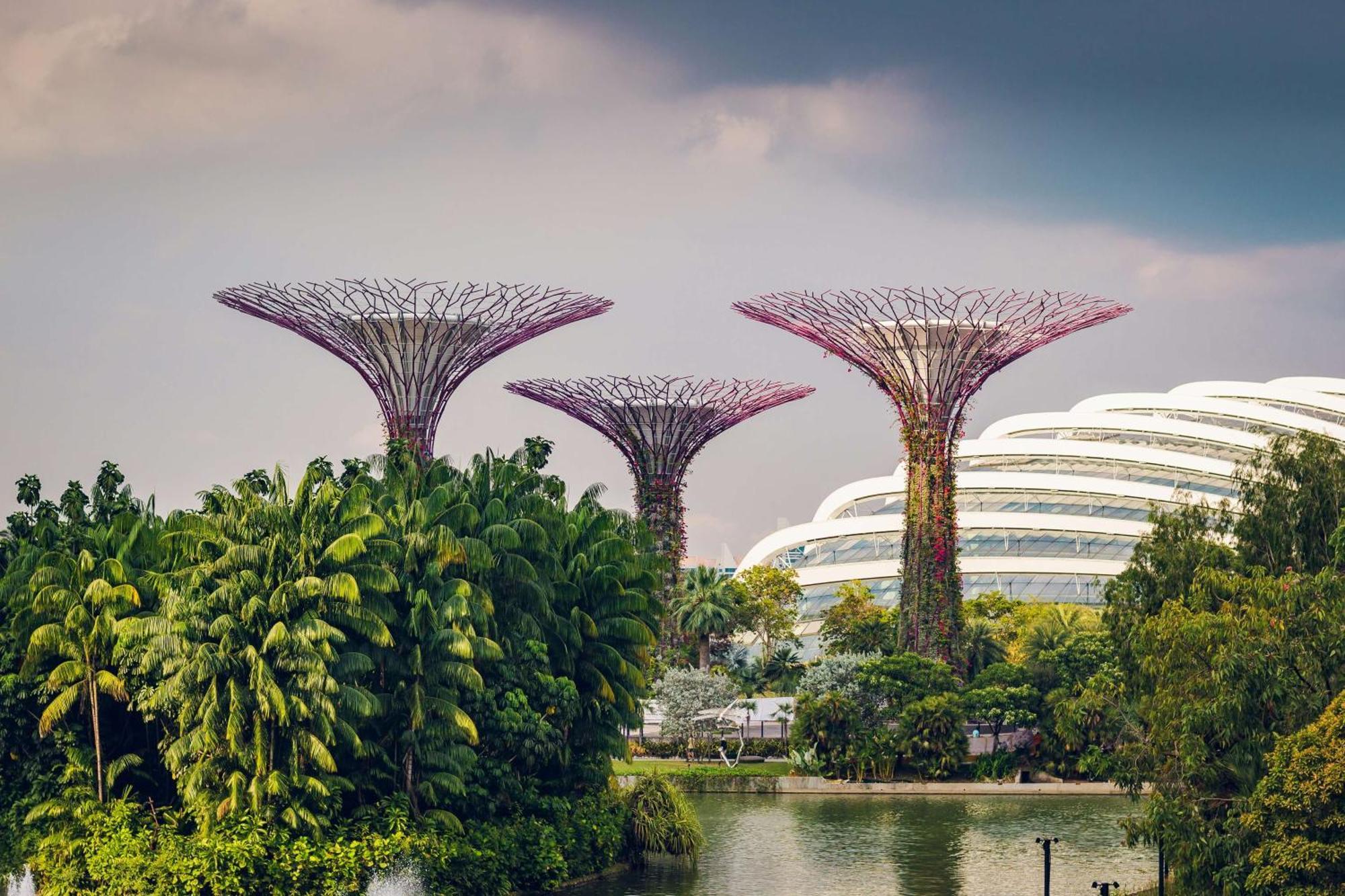 Hotel Conrad Singapore Marina Bay 5*
