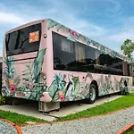 The Bus Collective