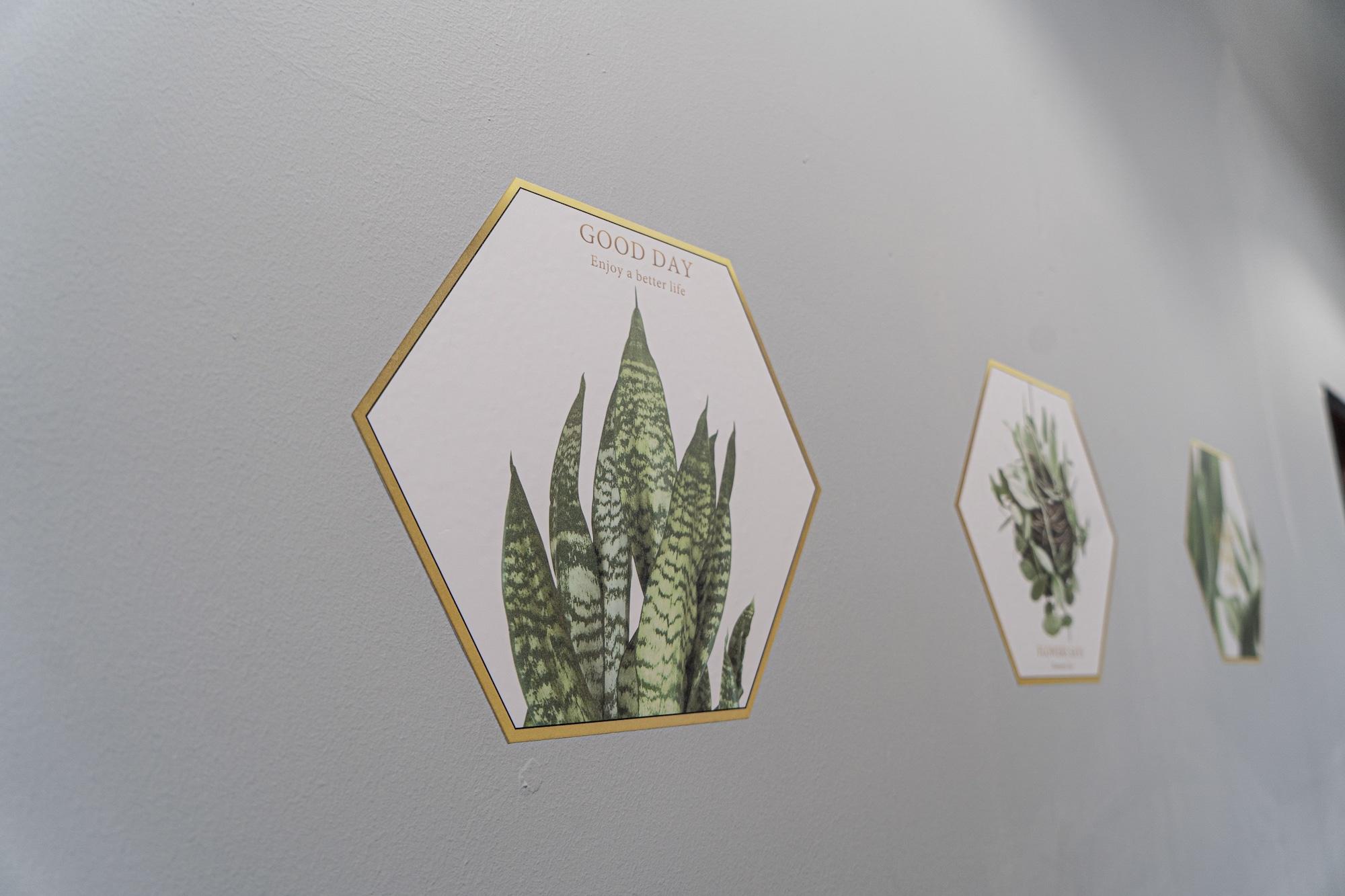 Hostel Moni Gallery Singapore